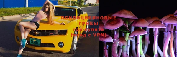каннабис Гусь-Хрустальный