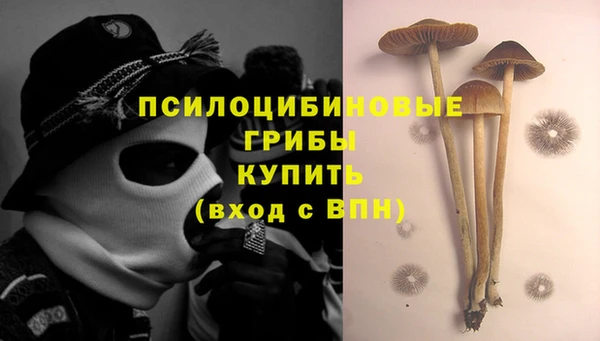 каннабис Гусь-Хрустальный