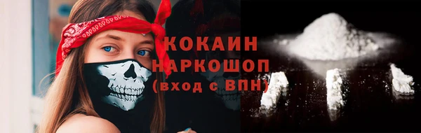 хмурый Шали