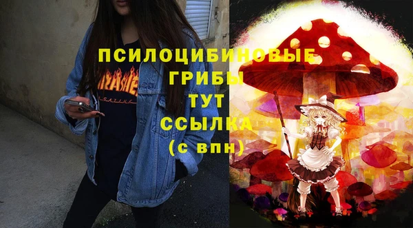 дмт Кропоткин