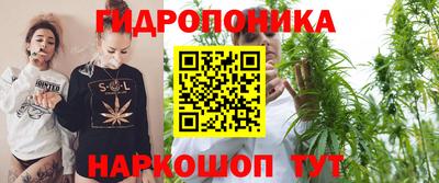 гашик Ипатово