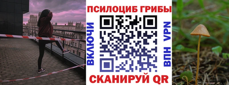 Псилоцибиновые грибы Cubensis  купить наркотики сайты  Можга 