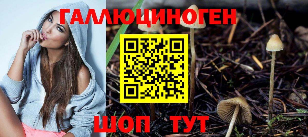 Псилоцибиновые грибы Cubensis  Псилоцибиновые грибы Psilocybine cubensis  Можга  Вход с VPN 
