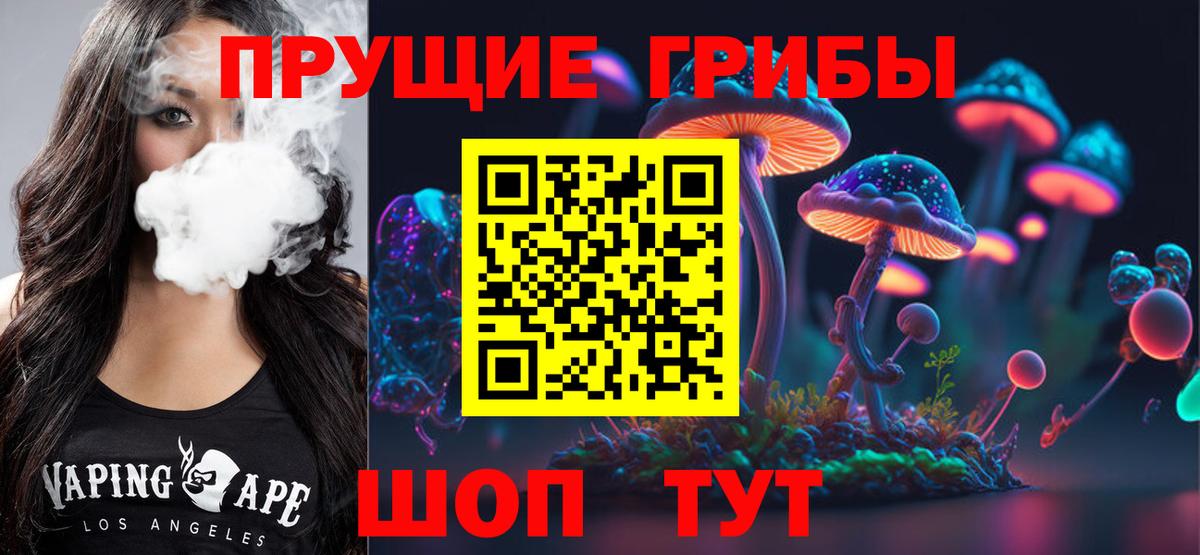 Псилоцибиновые грибы Psilocybe  Можга 