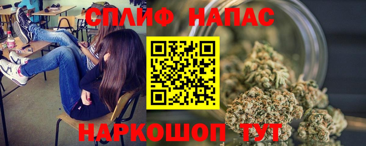 Каннабис план Можга